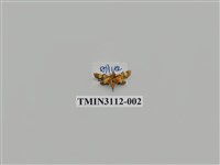 藏品(螟蛾209)的圖片